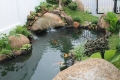 Hình dáng và phương vị cho hồ nước trong sân vườn