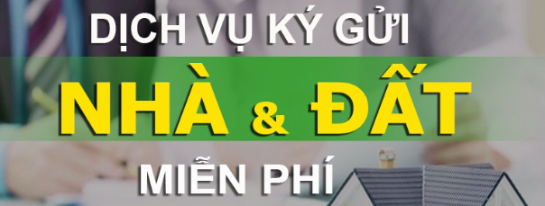 Banner giữa trang 6