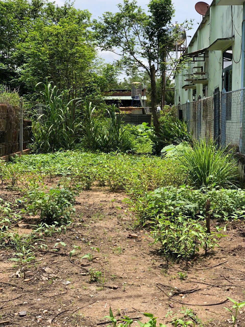 BÁN ĐẤT 160M2 ĐƯỜNG NHỰA PHÚ AN BẾN CÁT BÌNH DƯƠNG 1,650 TỶ