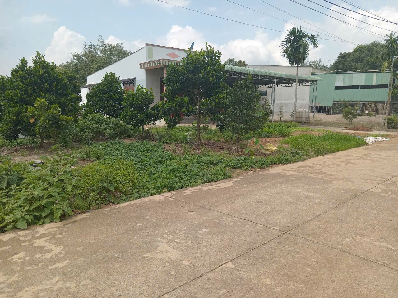 Bán đất đẹp 10.386m2, có sẵn 500m2 thổ cư tại xã An Thái, Phú Giáo, Bình Dương