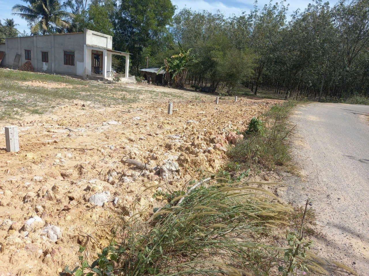 GIẢM LỖ 50% BÁN 2 NỀN ĐẤT TÂN CHÂU, TÂY NINH 280 TRIỆU