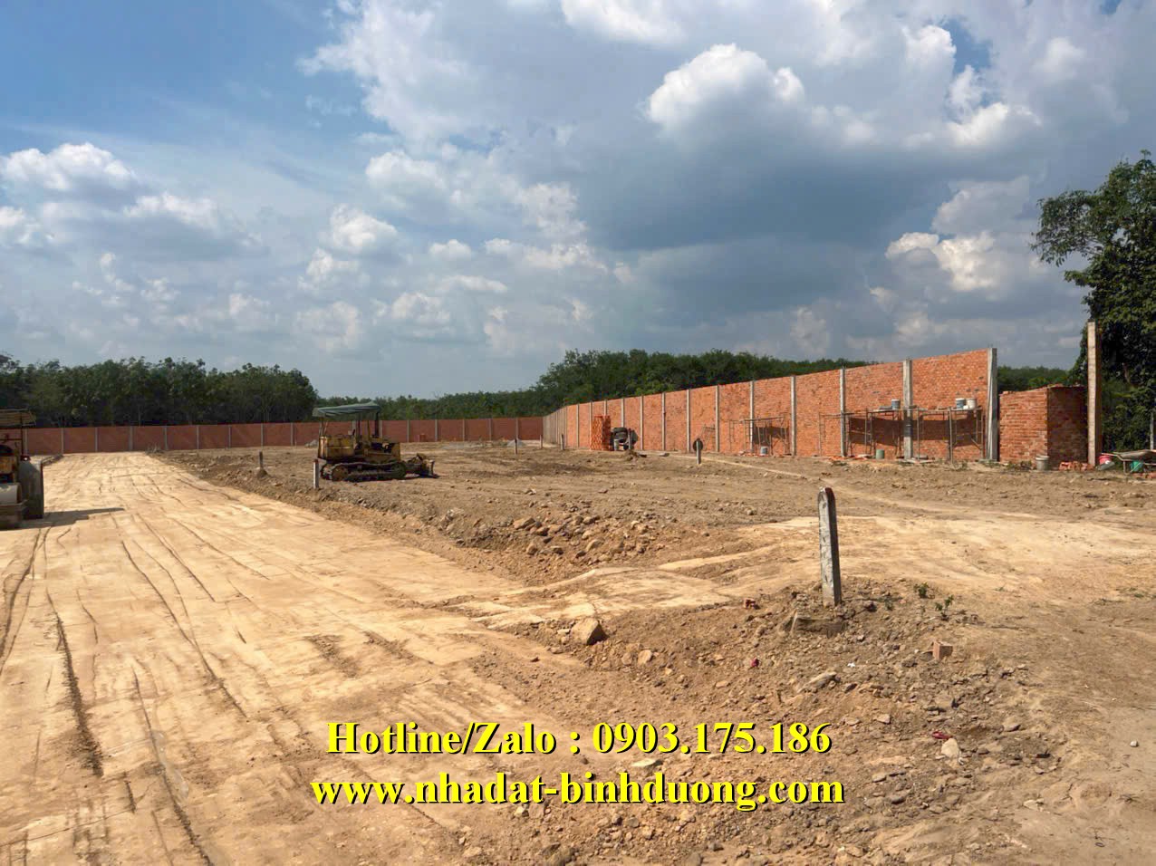 TỔNG 6300M2 ĐẤT ODT AN ĐIỀN, BẾN CÁT, BÌNH DƯƠNG.