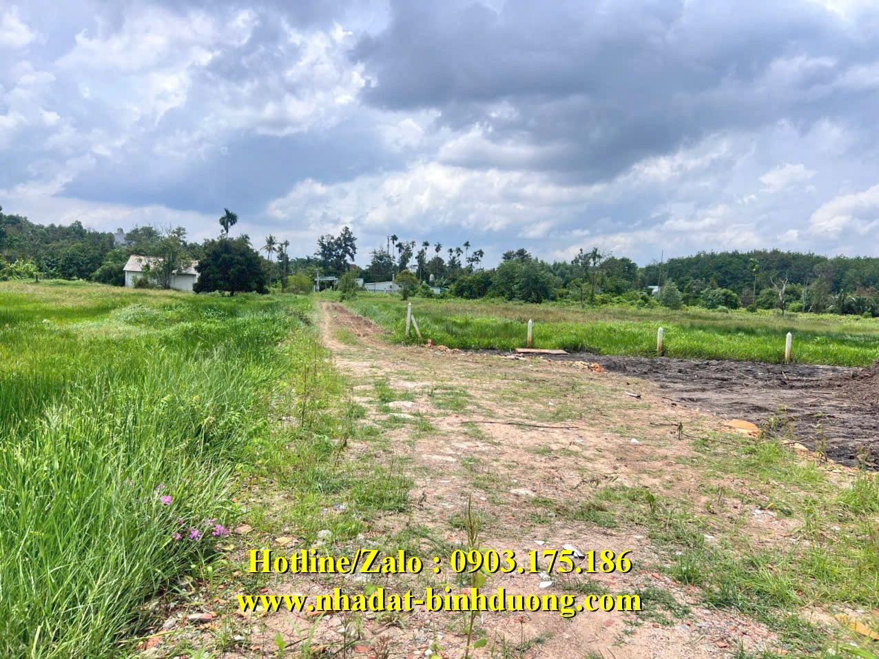 ĐẤT Ở PHÚ AN, BẾN CÁT, BÌNH DƯƠNG VỪA RỚT NHỰA CÁCH HL 609 VÀO 700M.